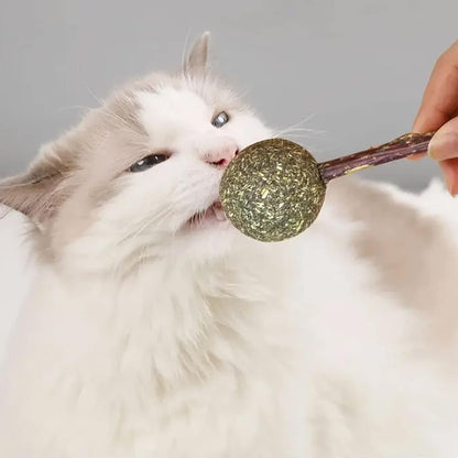 Star Shape Catnip Chew Toy