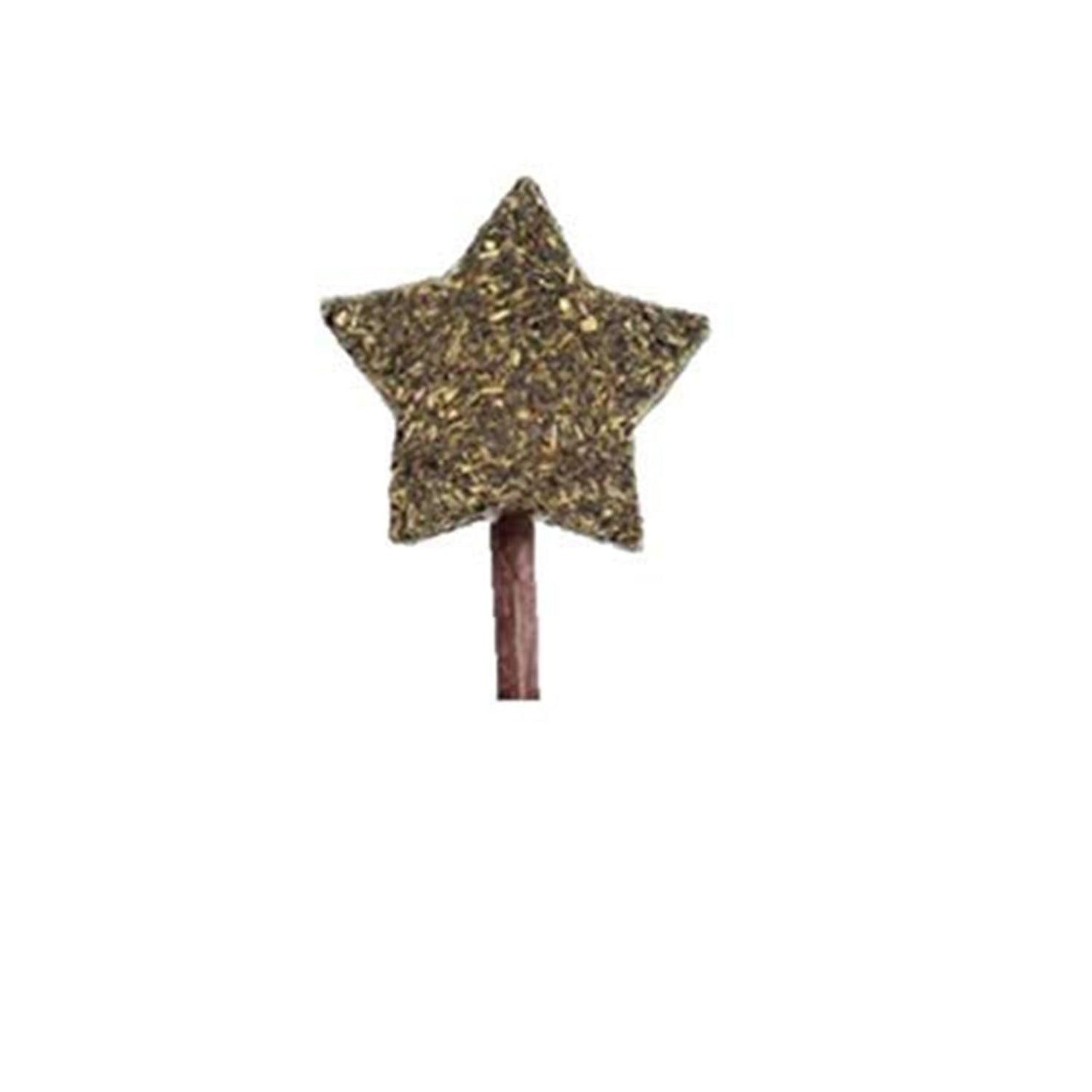 Star Shape Catnip Chew Toy