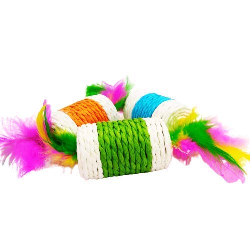 Interactive Feather Rope Cat Toy