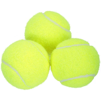 Parrot Green Dog Tennis Balls