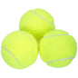 Parrot Green Dog Tennis Balls