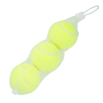 Parrot Green Dog Tennis Balls