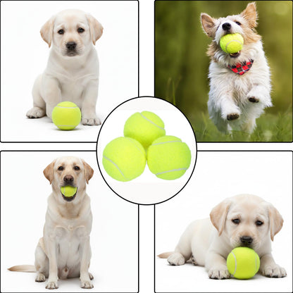 Parrot Green Dog Tennis Balls