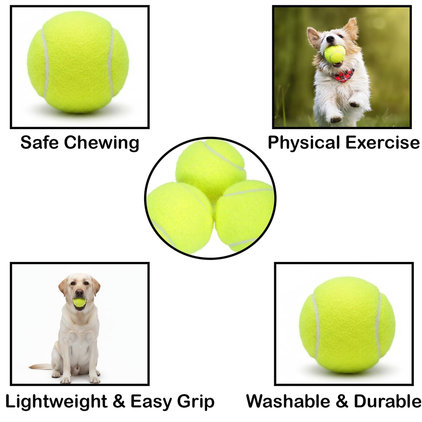 Parrot Green Dog Tennis Balls