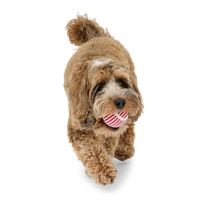 Squeaky Tennis Balls for Dogs & Cats