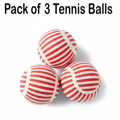 Squeaky Tennis Balls for Dogs & Cats