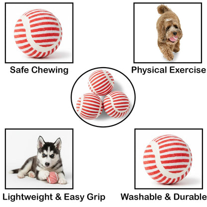 Squeaky Tennis Balls for Dogs & Cats