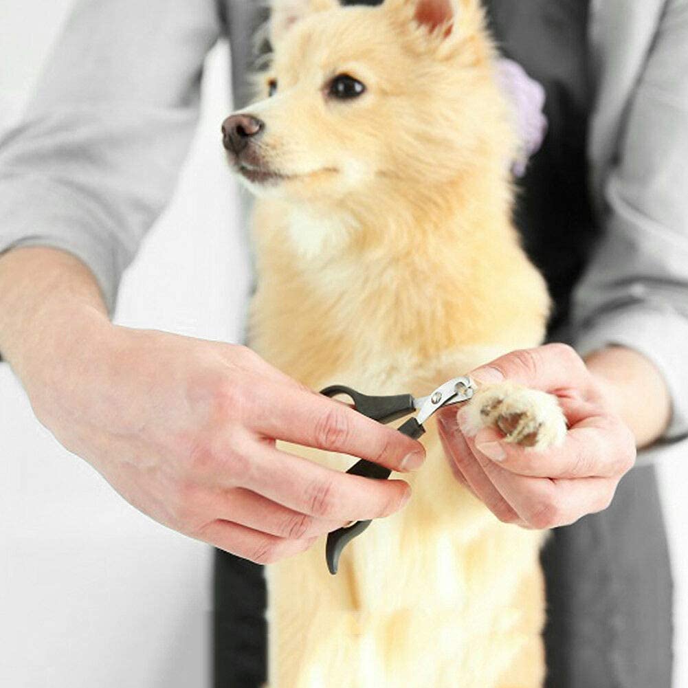 Black Pet Nail Clipper Scissor
