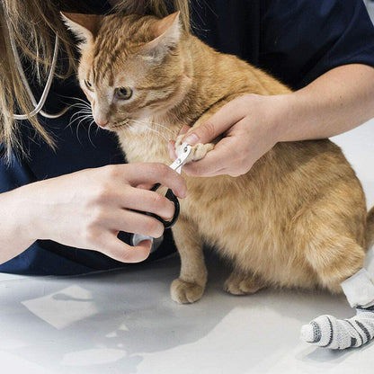 Black Pet Nail Clipper Scissor