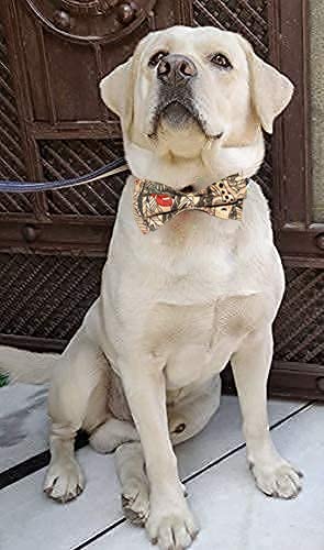 Pets Dogs Collar with Bow Tie