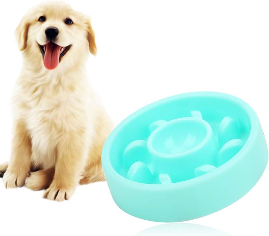 Dog Slow Feeder Bowl - Blue