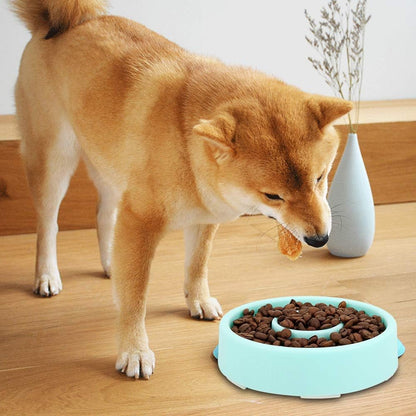 Dog Slow Feeder Bowl - Blue