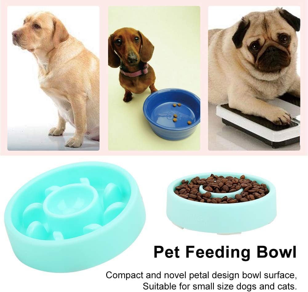 Dog Slow Feeder Bowl - Blue