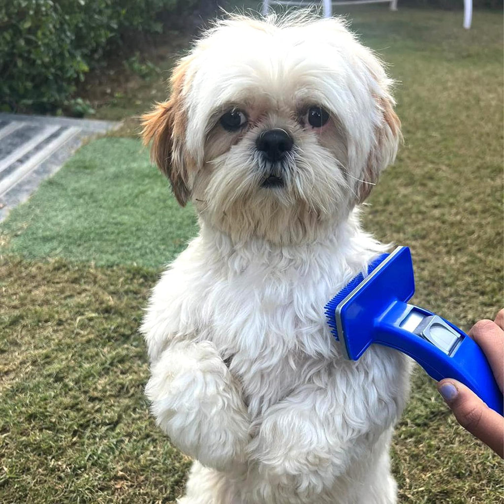 Slicker Brush for Dogs Cats