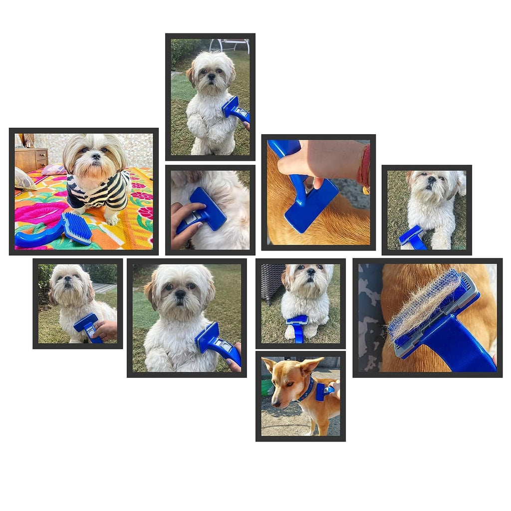 Slicker Brush for Dogs Cats