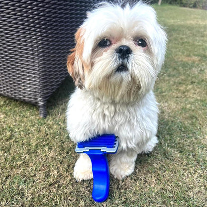 Slicker Brush for Dogs Cats