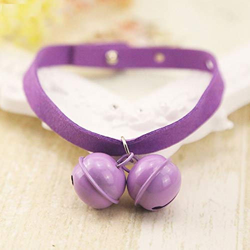 Small Purple Pet Collar Band