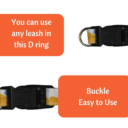 Breakaway Safety Cat Collar