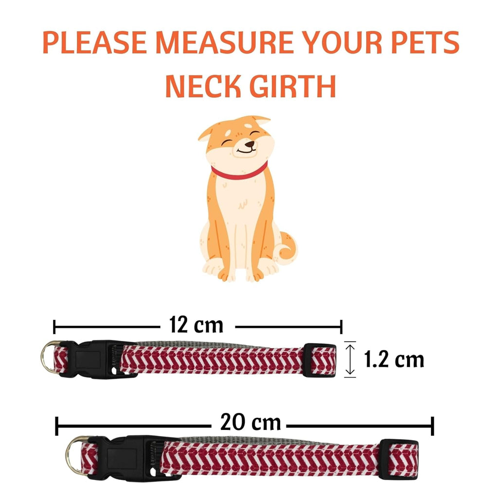 Cat Collar Breakaway for Cats