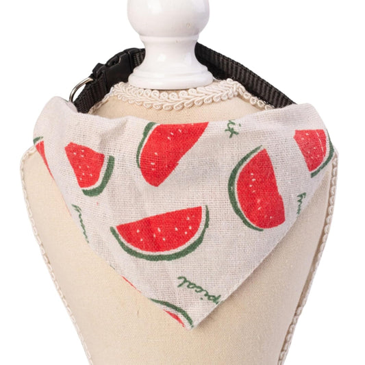 Medium Watermelon Dog Bandana Collar