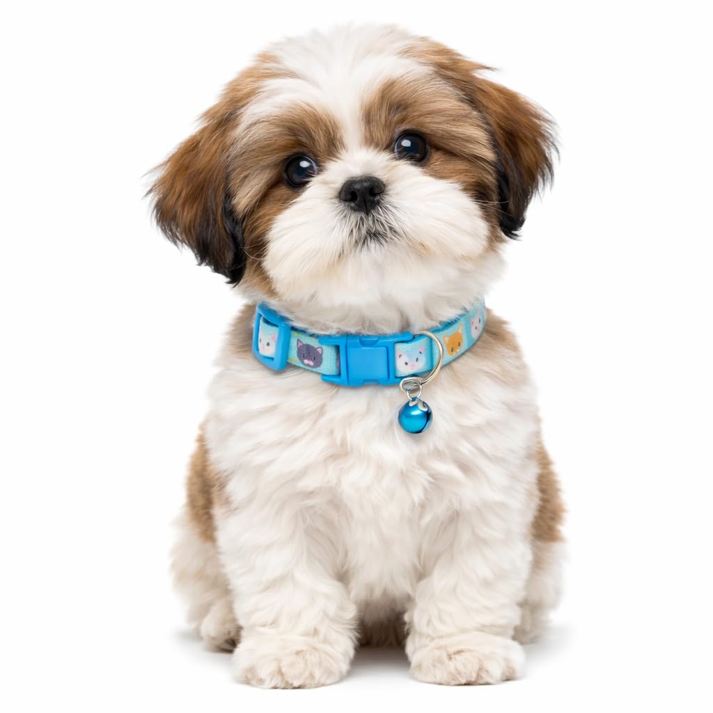 Breakaway Cat Collar with Bell