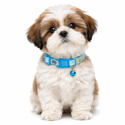 Breakaway Cat Collar with Bell