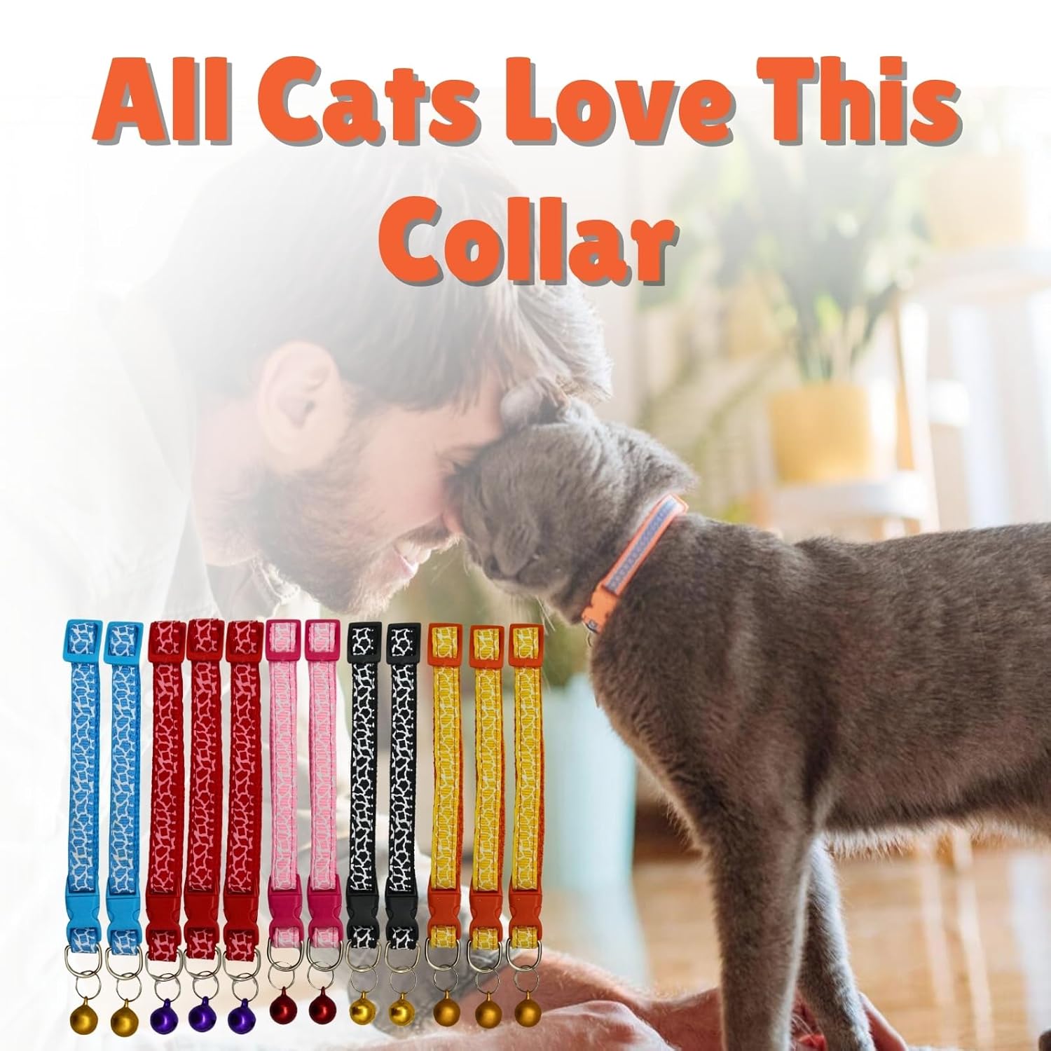 Breakaway Cat Collar with Bell