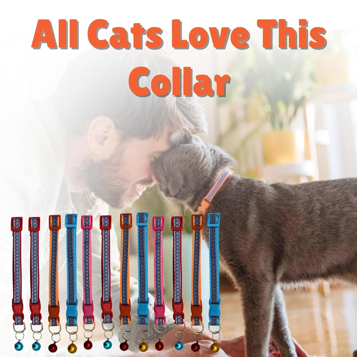 Cat Collars with Bells