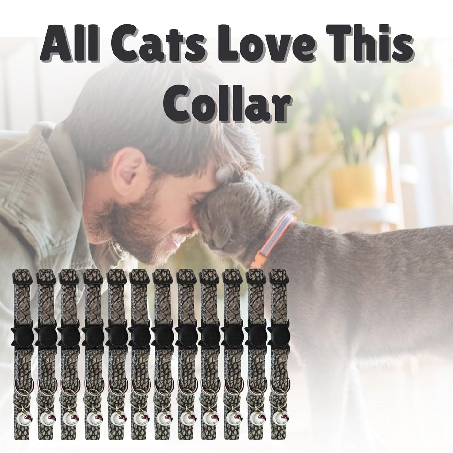 Cat Collars with Bells