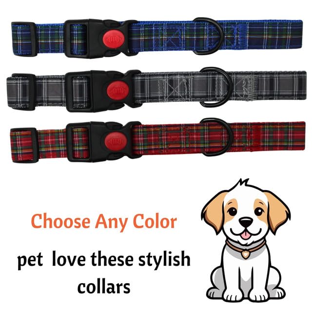 Dog Collar with Safety Locking Buckle