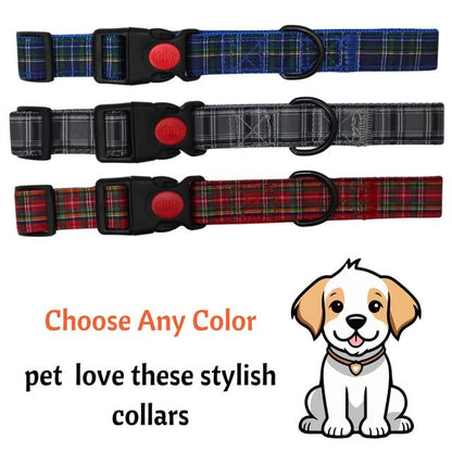 Dog Collar with Safety Locking Buckle