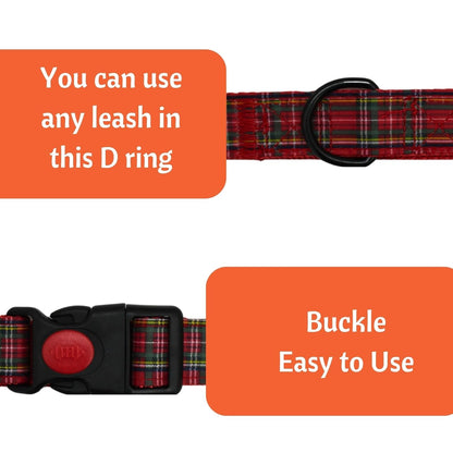 Dog Collar with Safety Locking Buckle