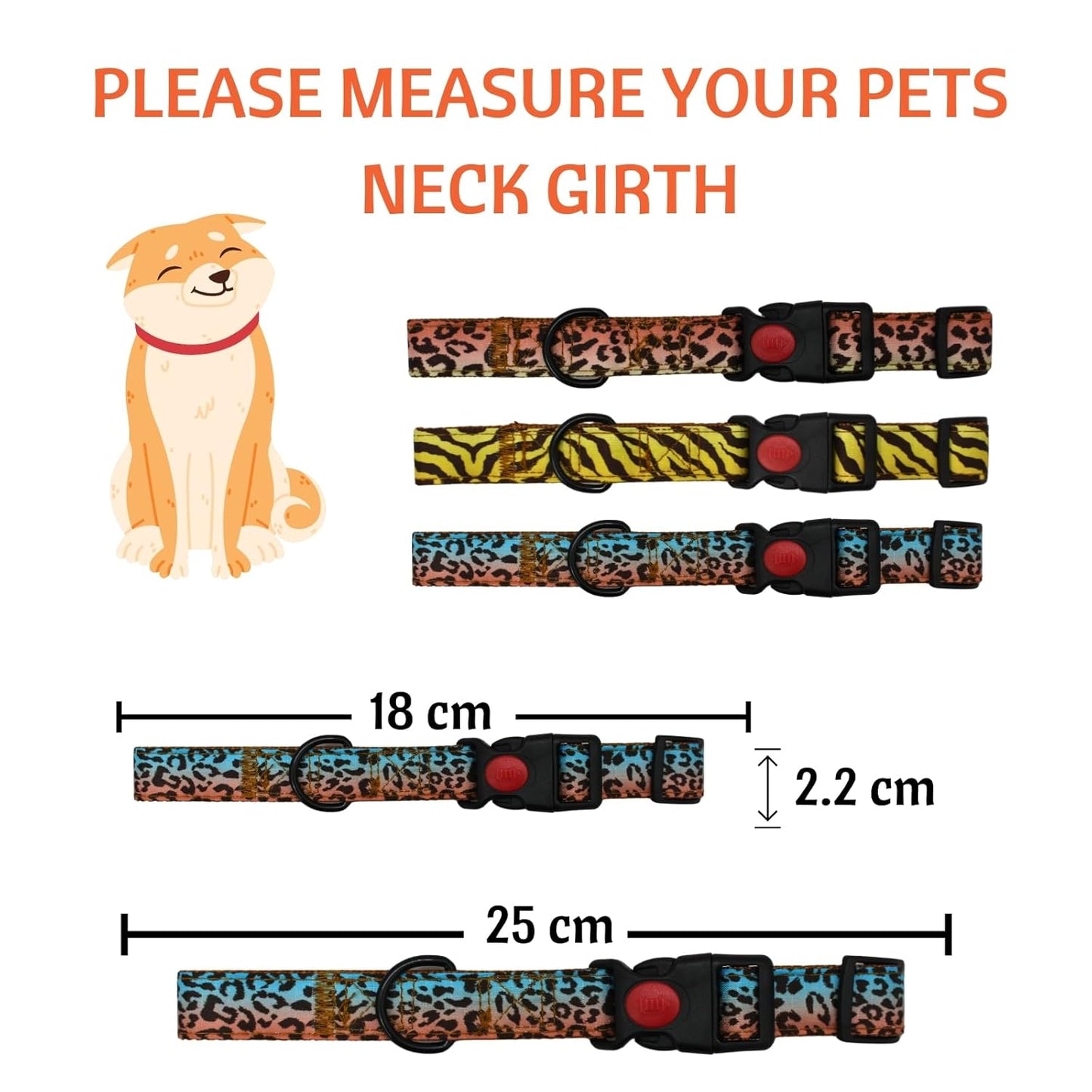 Cat Collar with Bells