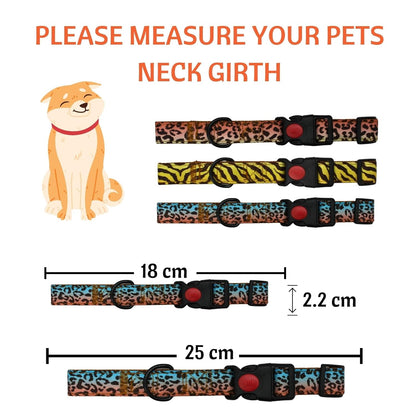 Cat Collar with Bells