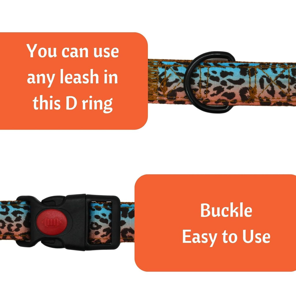 Cat Collar with Bells