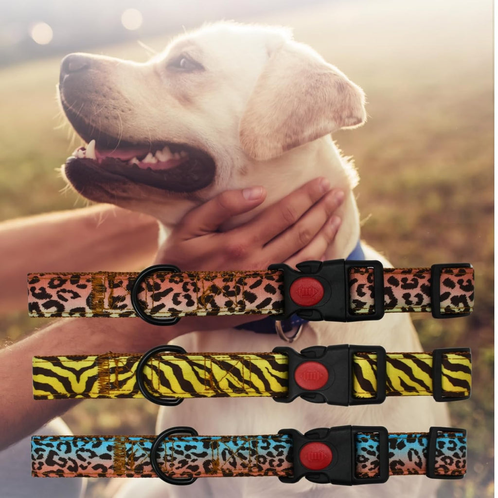 Cat Collar with Bells