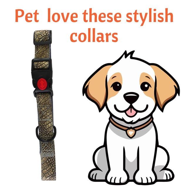 Dog Collar with Safety Locking Buckle