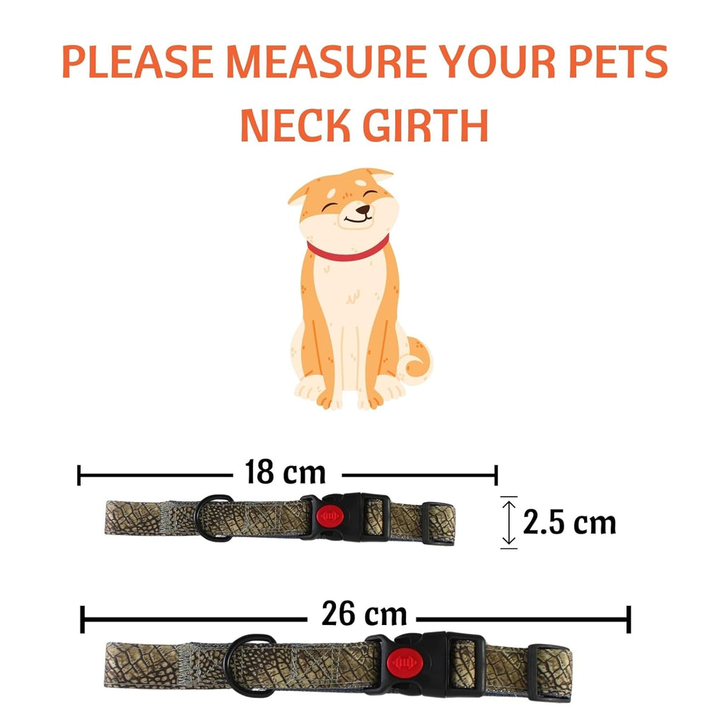 Dog Collar with Safety Locking Buckle