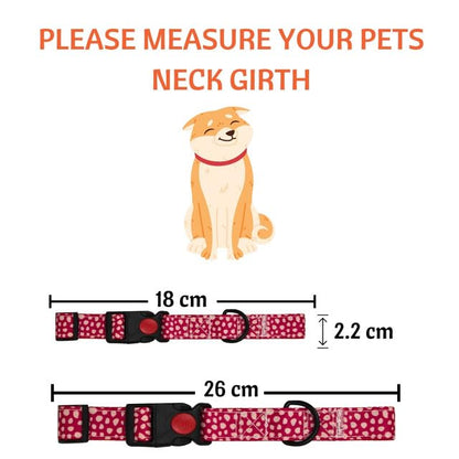 Breakaway Cat Collar with Bell