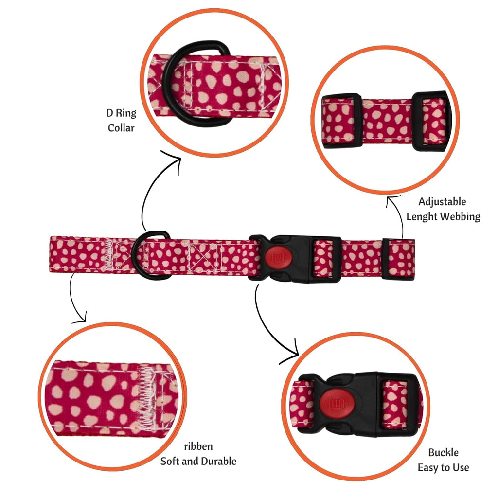 Breakaway Cat Collar with Bell