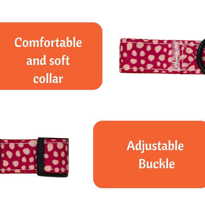 Breakaway Cat Collar with Bell