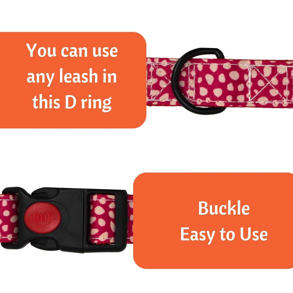 Breakaway Cat Collar with Bell