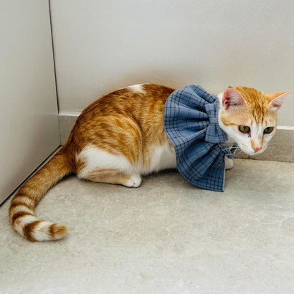 Stylish Adjustable Blue Plaid Cat Bow Tie Collar