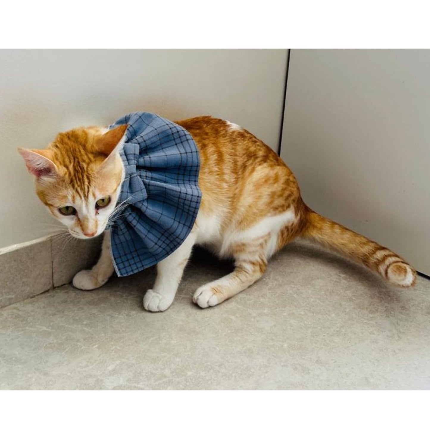 Stylish Adjustable Blue Plaid Cat Bow Tie Collar