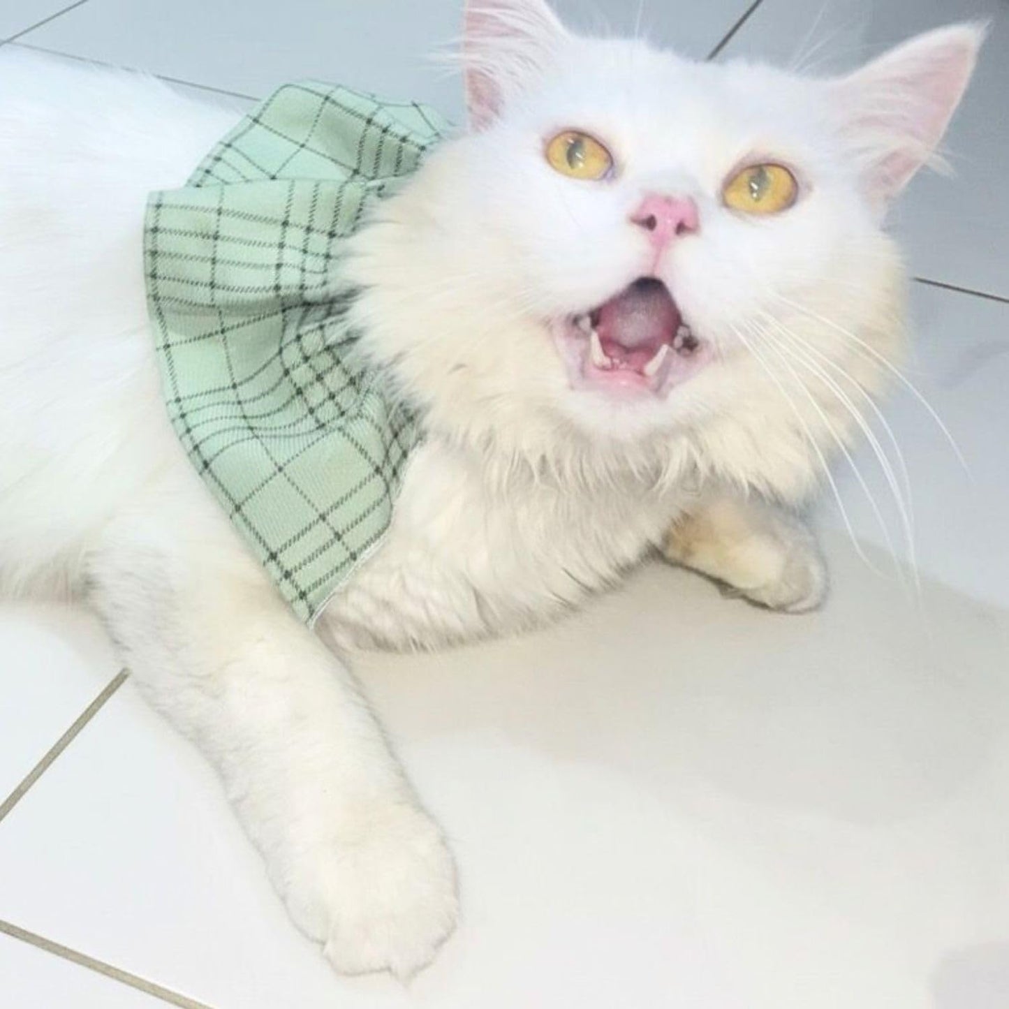 Stylish Adjustable Blue Plaid Cat Bow Tie Collar