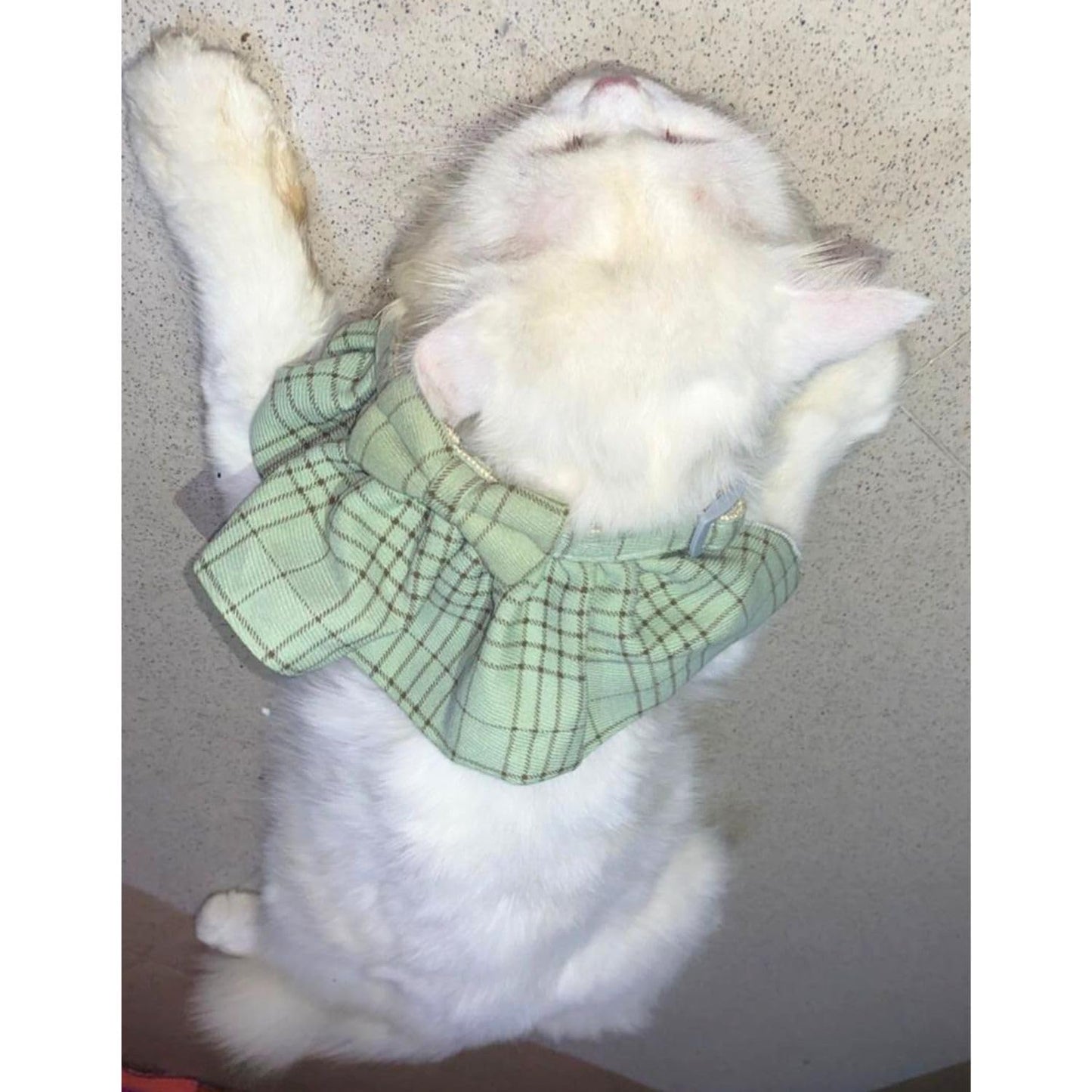 Stylish Adjustable Blue Plaid Cat Bow Tie Collar