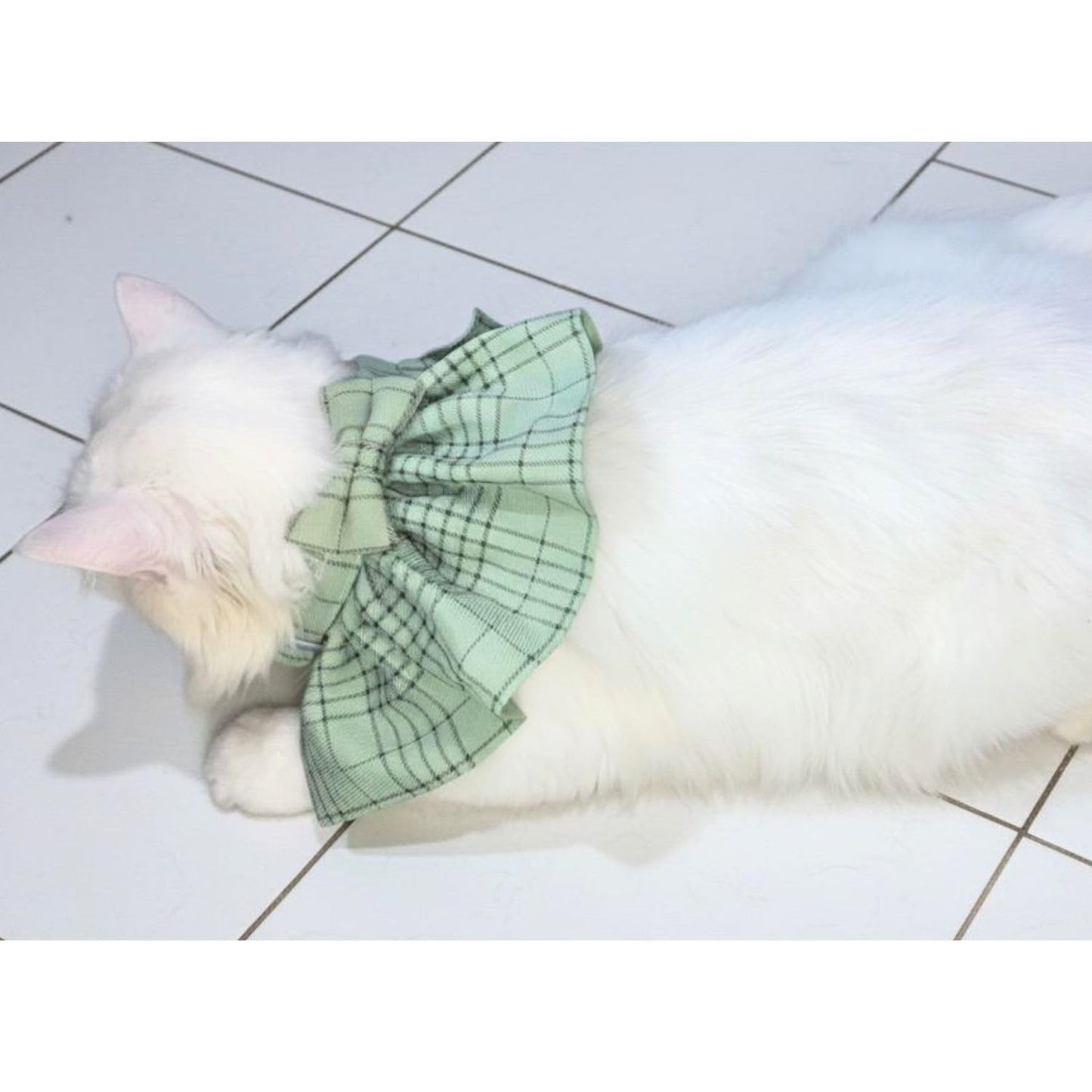 Stylish Adjustable Blue Plaid Cat Bow Tie Collar