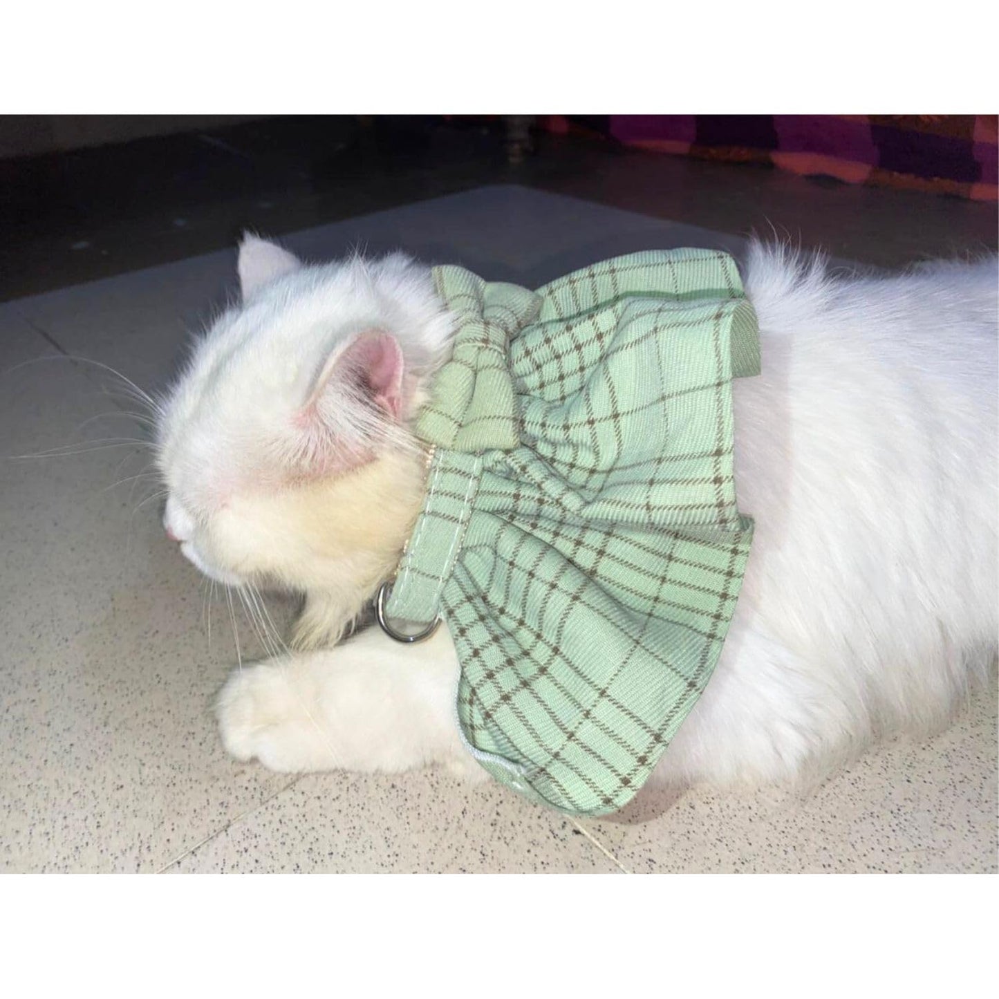 Stylish Adjustable Blue Plaid Cat Bow Tie Collar