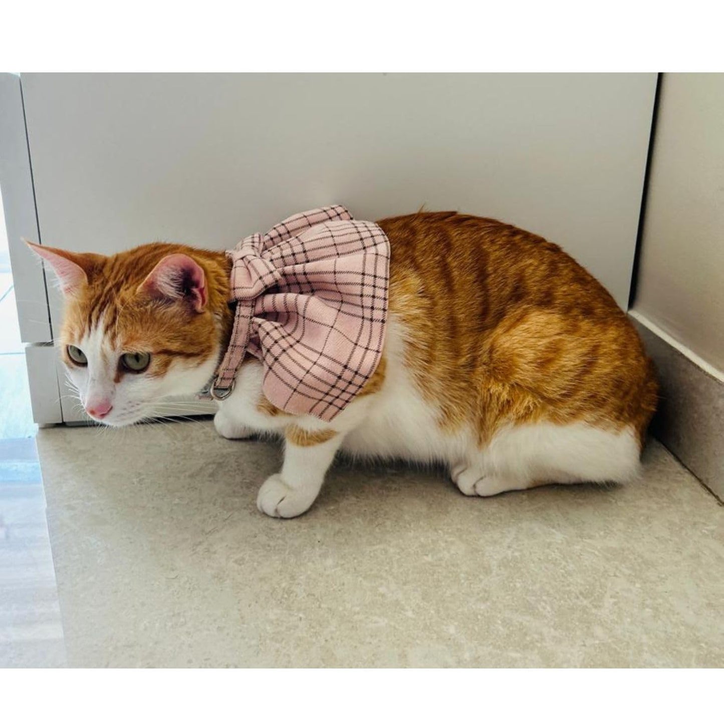 Light Pink Plaid Cat Collar