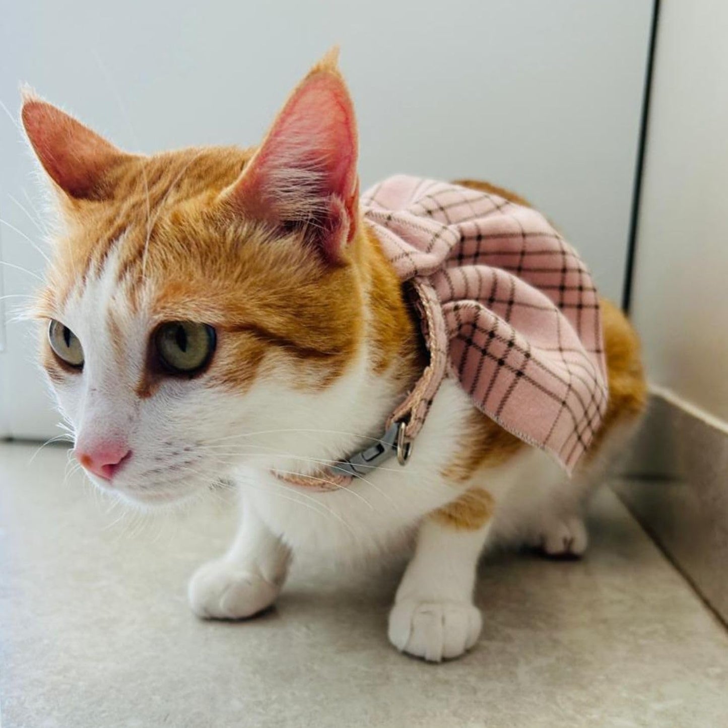 Light Pink Plaid Cat Collar